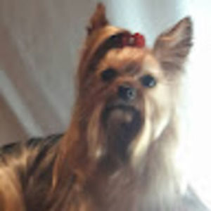 Meet your Posher, Karina